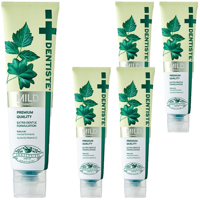 덴티스테 마일드 나이트타임 치약 튜브형, 160g, 5개
