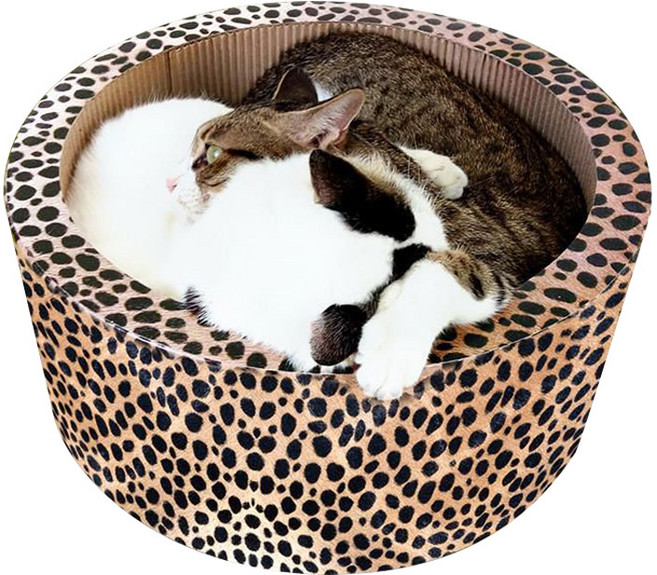 세이코코아 고양이 3D써클 평판형 스크래쳐 루어캣, 혼합색상, 1개