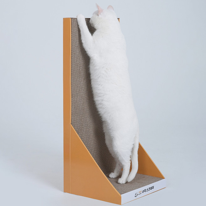 멍냥이노리터 고양이 BC골 이중구조 수직형 스크래쳐, 혼합색상, 1개