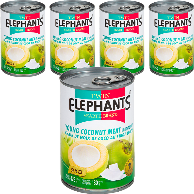 TWIN ELEPHANTS 雙象地球牌 嫩椰子肉片, 425g, 5罐