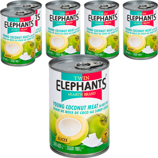 TWIN ELEPHANTS 雙象地球牌 嫩椰子肉片, 425g, 6罐