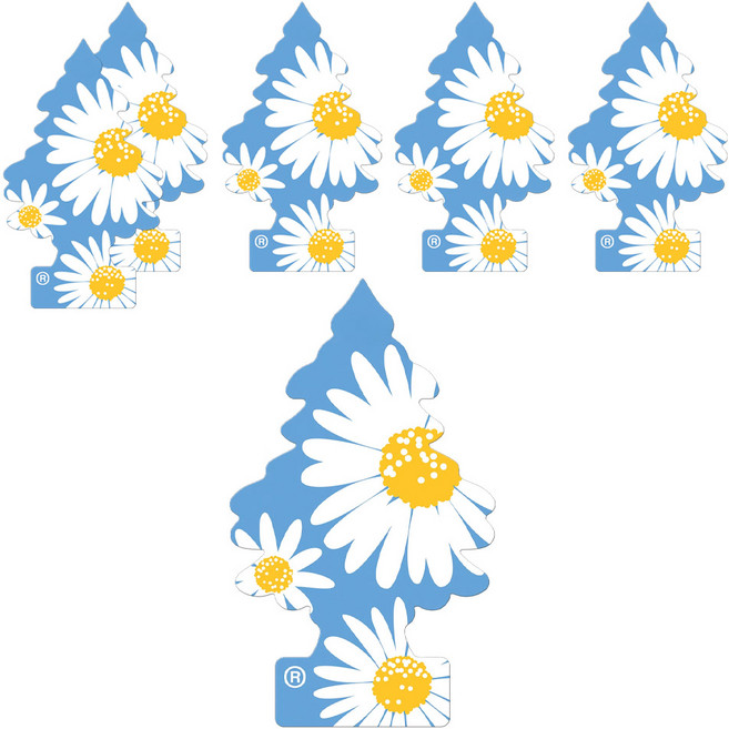 Little Trees 小樹香片 香氛卡, 陽光雛菊, 7g, 6片