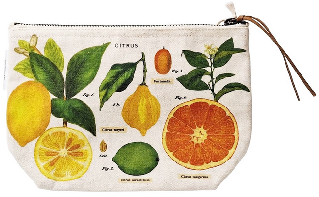 CAVALLINI&CO. 收納袋 POUCH CITRUS