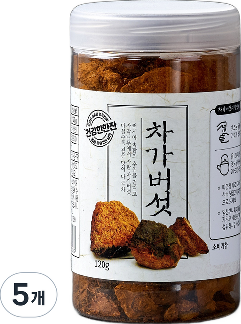 차가버섯 원통, 5개, 120g