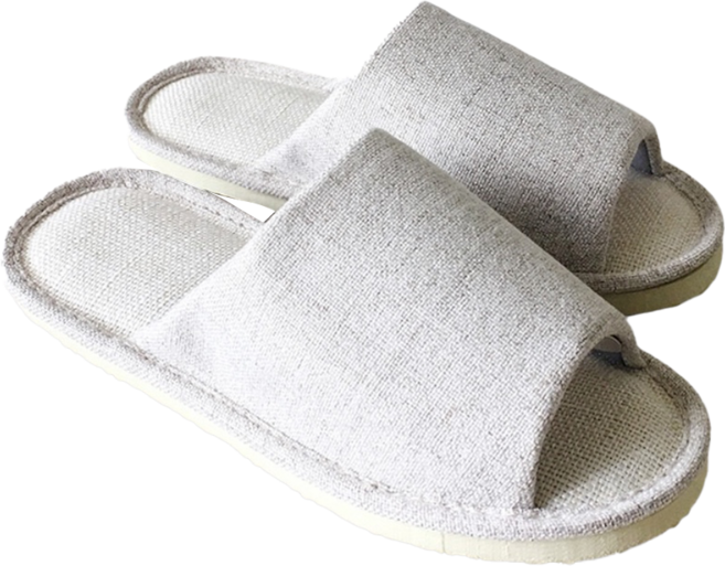 TAIWAN SLIPPER 台灣犀利趴 家居拖鞋, 米咖啡色, 1雙