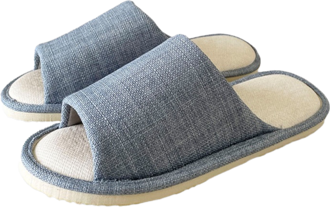 TAIWAN SLIPPER 台灣犀利趴 家居拖鞋, 藍色, 1雙