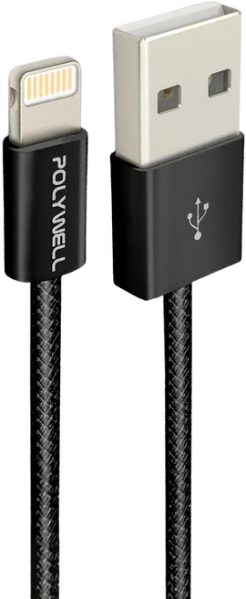 POLYWELL 寶利威爾 USB-Lightning PD編織快充線 3A PW15-W45-M915, 3m, 黑色, 1條