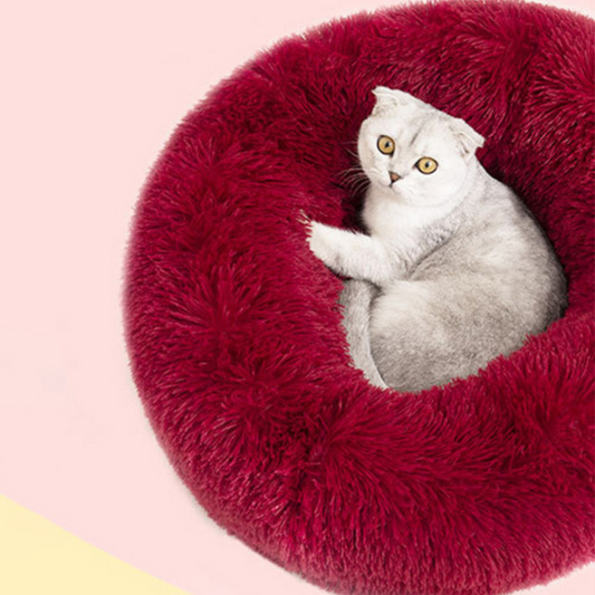 우리집 댕냥이들 껌딱지 마약방석, 와인, 1개