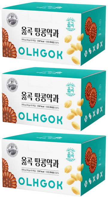 옳곡 땅콩약과 이정돈 약과지 10p, 3개, 300g