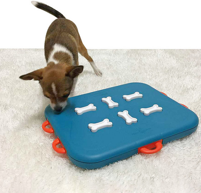 니나오토슨 도그 카지노 노즈워크, 혼합색상, 1개