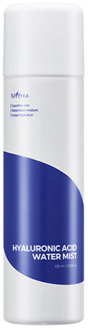 이즈앤트리 히아루론산 워터 미스트, 100ml, 1개