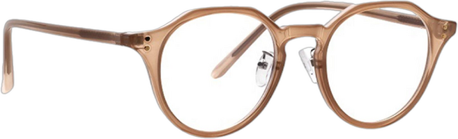 RECLOW 可可色眼鏡 B010