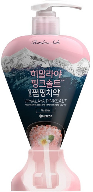 죽염 히말라야 핑크솔트 담은 펌핑 치약 플로럴민트, 285g, 1개