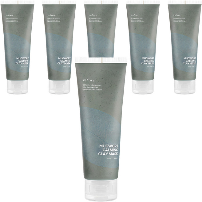 이즈앤트리 머그워트 카밍 클레이 마스크 100ml, 1개입, 6개
