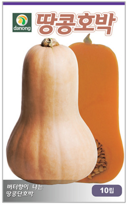 다농 땅콩호박씨앗 호박씨앗 10p, 1개
