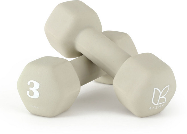 아리프 네오프렌 선인장 아령, 3kg, 2개