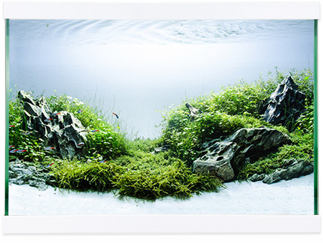 모비딕 36슬림 모던 어항 + 뚜껑, 1세트