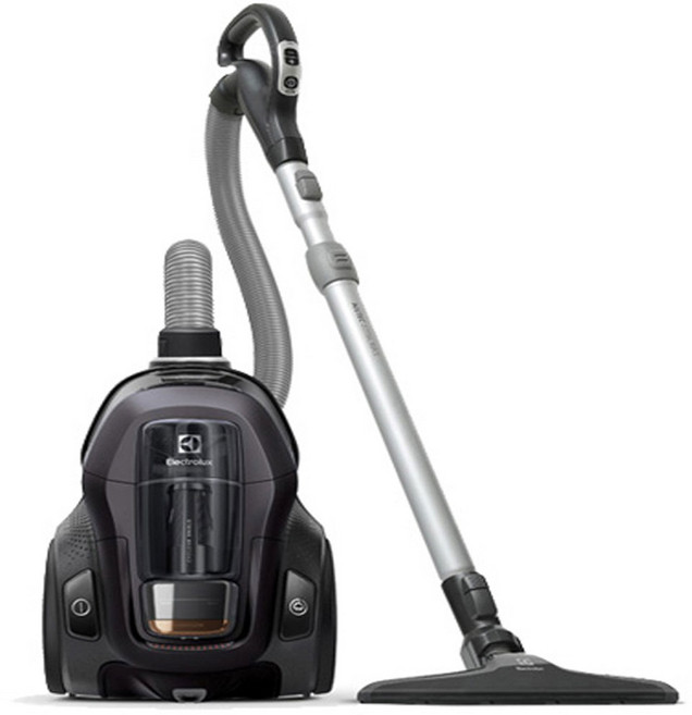 일렉트로룩스 퓨어 C9 청소기, PC91-4IG, 아이언그레이 메탈릭