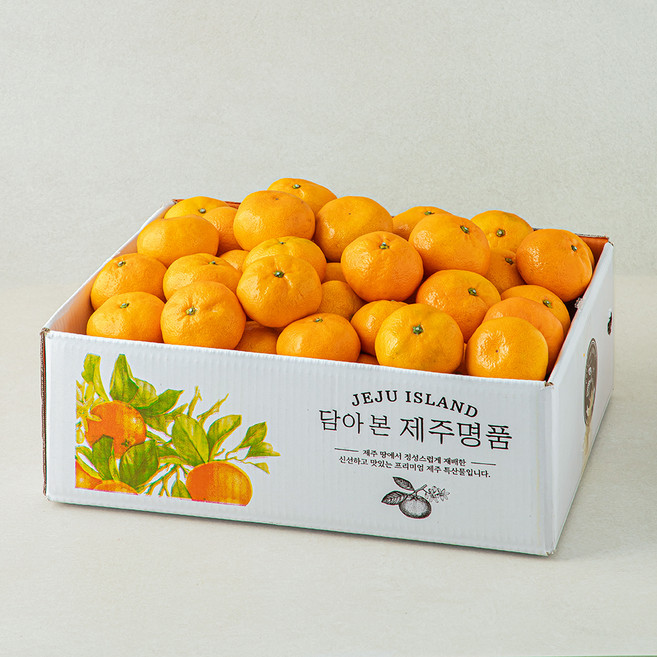 서귀포 감귤, 1박스, 9kg(점보과)