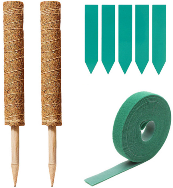 미화부장 연장형 식물지지대 몬스테라 수태봉 50cm 2개+원예용벨크로 1개+식물이름표 5개, 1세트