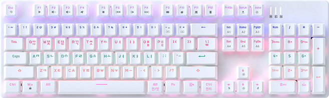 홈플래닛 레인보우 LED 기계식 게이밍 키보드, AK10, 일반형, 화이트