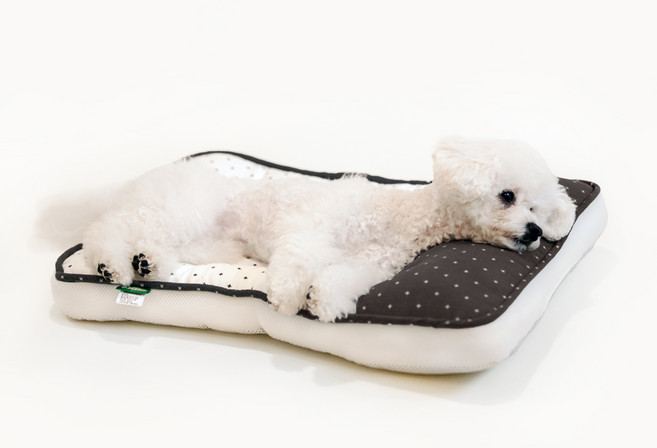 페스텝 사계절커브 2중누빔 강아지 마약방석, 그레이, 1개