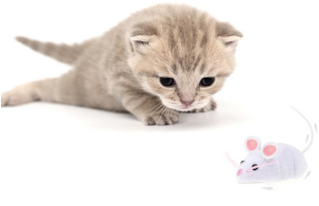 헥스버그 마우스캣토이, HEXBUG, 혼합색상, 1개