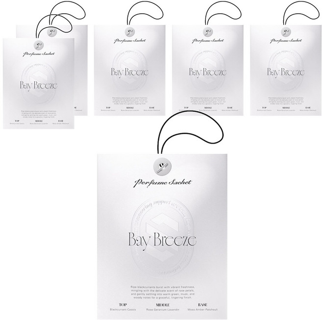 더클래스 퍼퓸 사쉐 차량용 방향제, 6개, 베이 브리즈