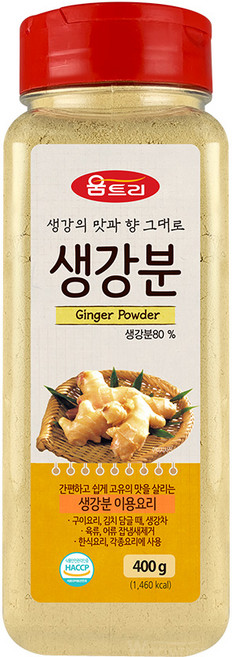 움트리 생강분, 400g, 1개