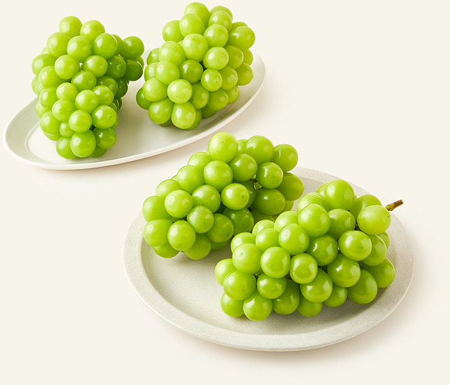 당찬 샤인머스켓 포도, 1개, 2kg