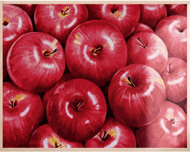 아트조이 물감 2배 DIY 명화그리기 40 x 50 cm, 건강을 부르는 홍사과, 1개