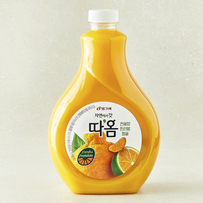 따옴 천혜향 한라봉 청귤, 1.6L, 1개