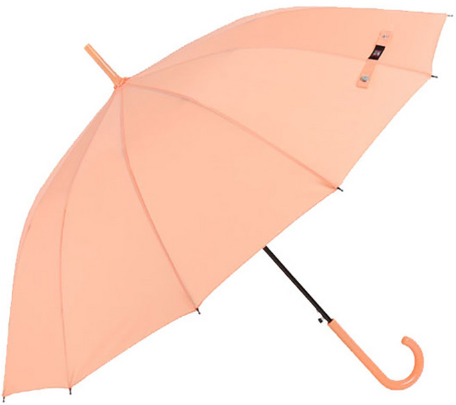 카르페디엠 파스텔 12컬러 자동 장우산