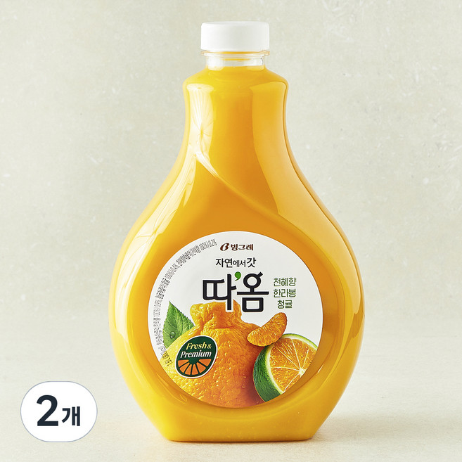 따옴 천혜향 한라봉 청귤, 1.6L, 2개