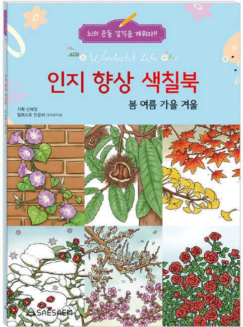 인지 향상 색칠북: 봄 여름 가을 겨울, 새샘
