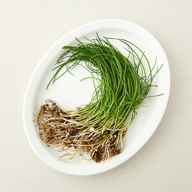 유기농 달래, 1개, 80g