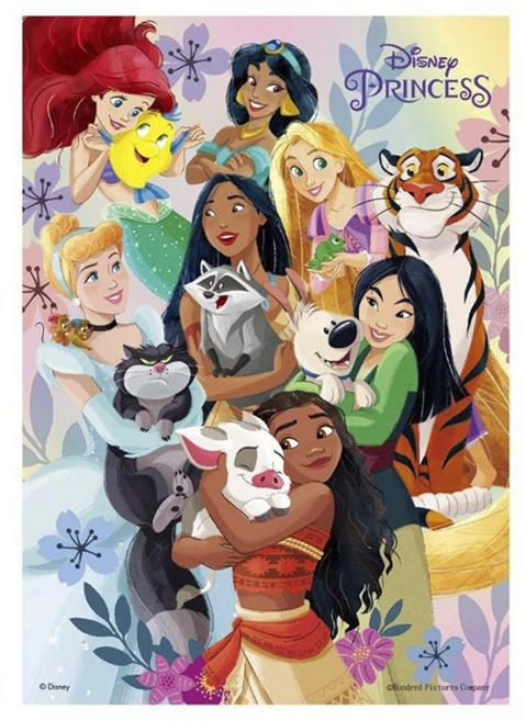 HUNDRED PICTURES 百耘圖 Disney Princess 拼圖 HPD0108-320 108g, 公主 15, 108片, 1盒