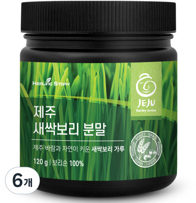 힐링스토리 제주 새싹보리 분말, 6개, 120g