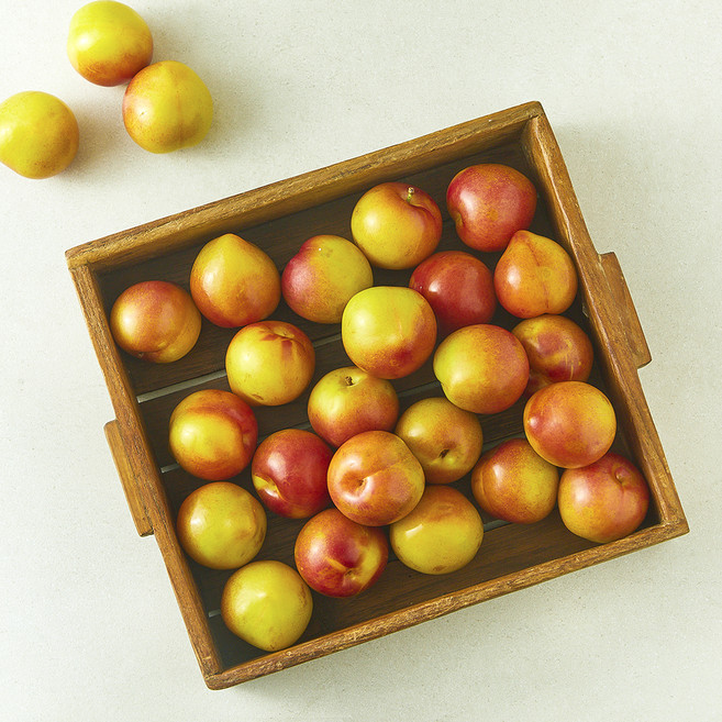 가족 의성 꼬마 자두, 1개, 2kg
