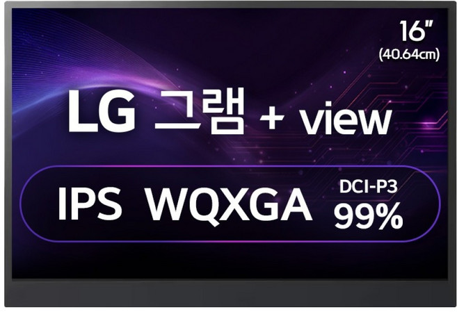 LG전자 WQXGA 그램 +View 모니터, 40cm, 16MR70