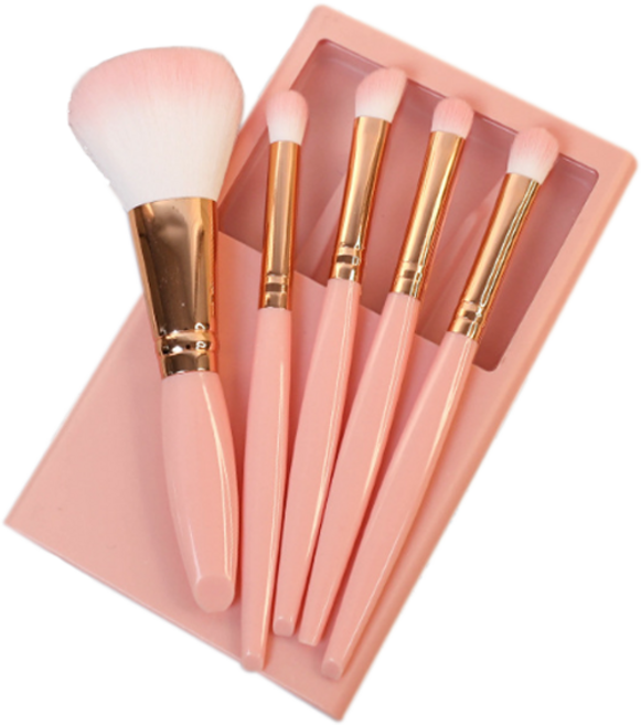 디에스 휴대용 멀티 브러쉬 5종 세트, 1개, 핑크