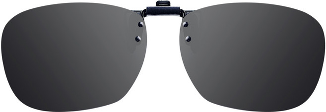 팬톤 클립선글라스 FU021