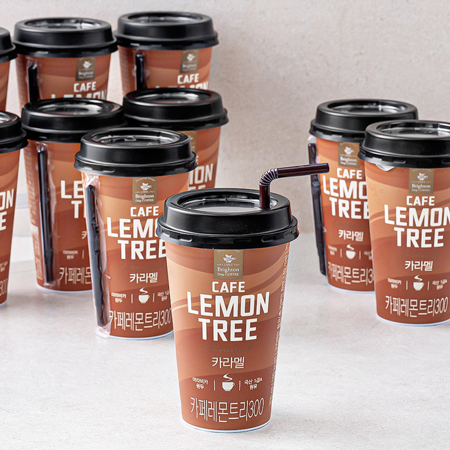카페 레몬트리 300 카라멜, 300ml, 10개