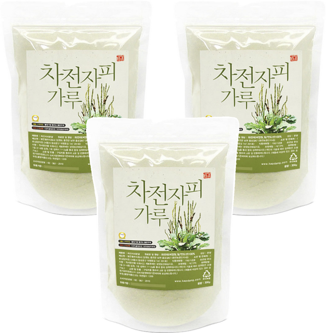 갑당약초 차전자피분말, 300g, 3개