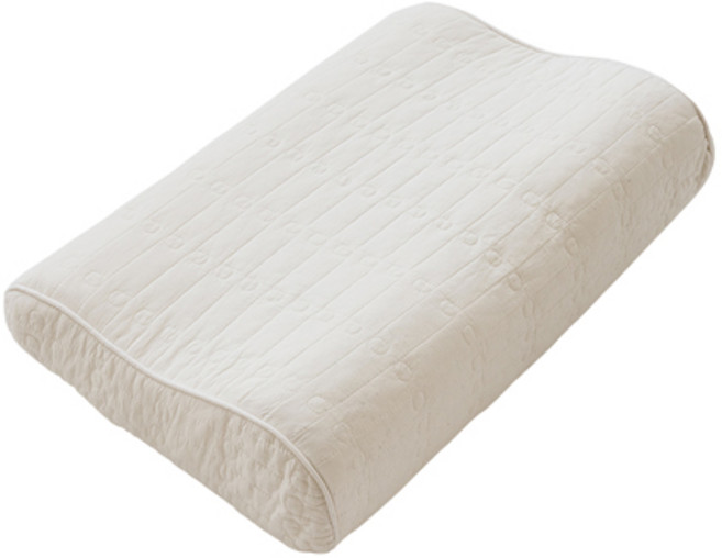 쉬즈홈 국내 제조 베이직 피그먼트 메모리폼 베개커버