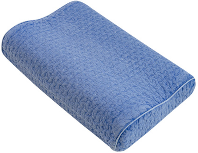 쉬즈홈 힐링 피그먼트 메모리폼 베개커버