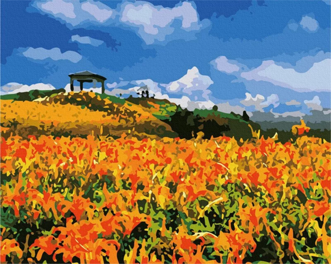 ArtLife 藝術生活 數字油畫DIY TW013 40 x 50cm, 台灣風情誌 花蓮六十石山金針花海, 1個