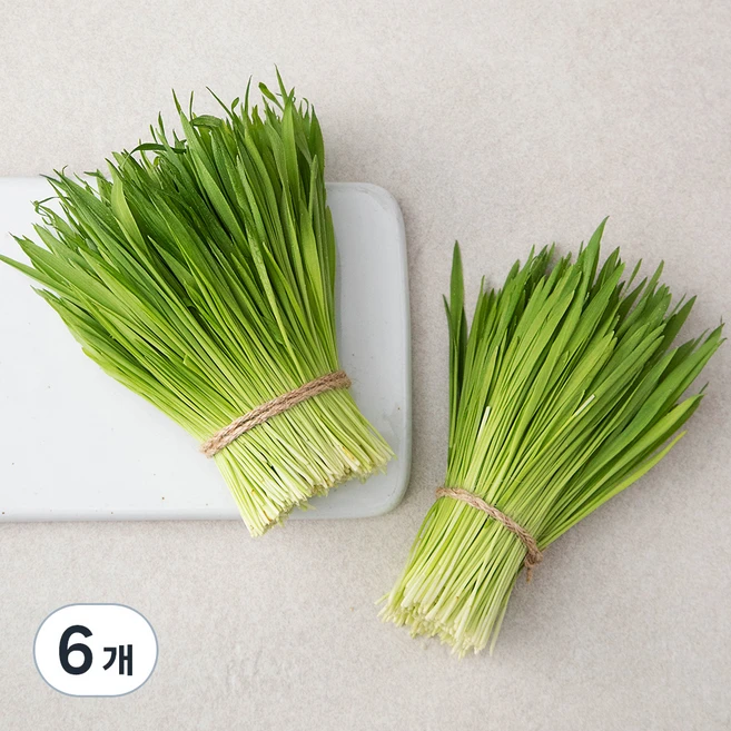 친환경 보리순, 50g, 6개 - 쿠팡