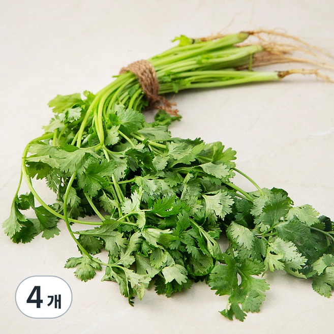 국내산 고수, 100g, 4개 - 쿠팡