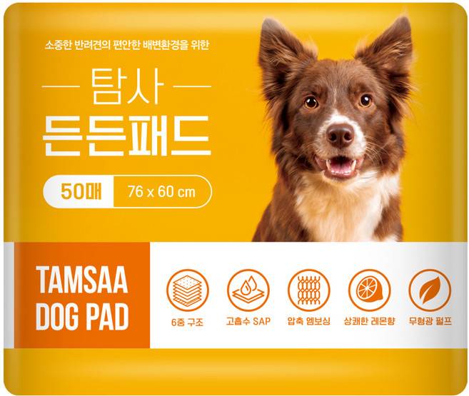 탐사 고흡수 든든패드 레몬향, 50개입, 1개